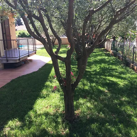 Appartamento Fabris With Pool And Location Near Sea Novigrad Istria