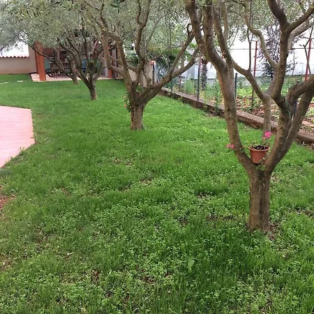 Fabris With Pool And Location Near Sea Apartment Novigrad (Istria)
