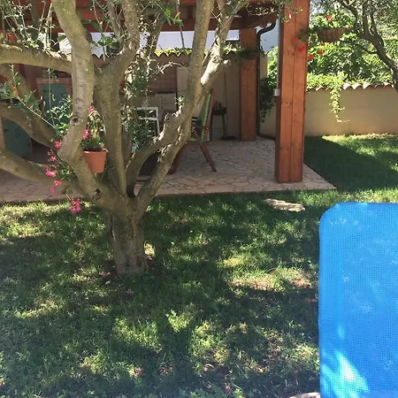 Fabris With Pool And Location Near Sea * Novigrad (Istria)